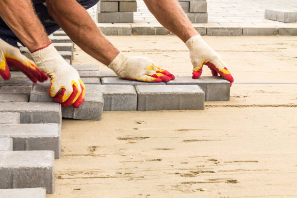 Reasons to Select Us for Your Driveway Paving Requirements in Elkton, MD