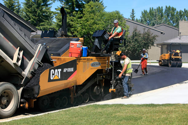 Best Professional Driveway Pavers  in Elkton, MD